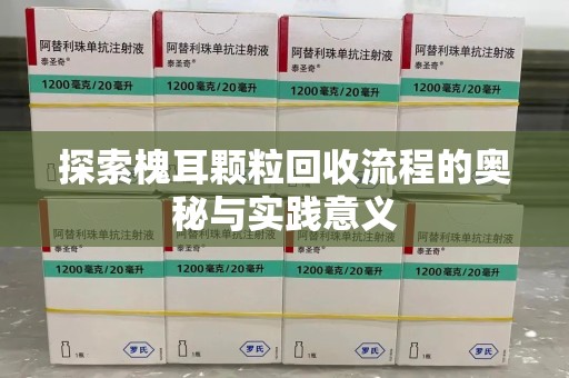 全国探索槐耳颗粒回收流程的奥秘与实践意义