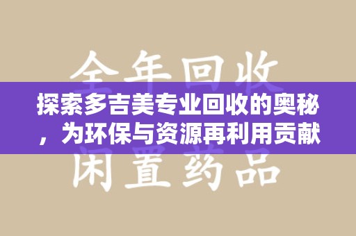全国探索多吉美专业回收的奥秘，为环保与资源再利用贡献力量