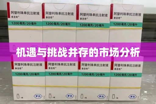 全国机遇与挑战并存的市场分析