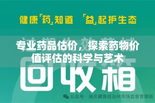 全国专业药品估价，探索药物价值评估的科学与艺术