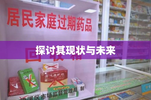 全国探讨其现状与未来