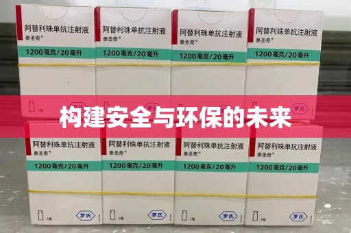全国构建安全与环保的未来